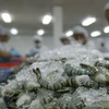 Hausse de 2,3% des exportations de crevettes au 2e trimestre