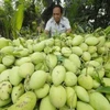 Les États-Unis vont autoriser l'importation de mangues du Vietnam