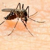 L’épidémie de Zika s'étend progressivement en Asie du Sud-Est