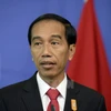 L'Indonésie tient en haute estime les relations ASEAN-Japon 