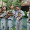 Quatre petits tigres voient le jour sur l’île de Phu Quôc