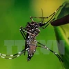 Un Taïwanais infecté par le virus Zika au cours d'un voyage au Vietnam 