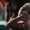 Le Vietnam recense deux nouveaux cas de Zika