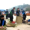 Originalité de la fête du nouveau riz au temple de Dông Cuông à Yên Bai 