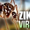 Zika: Ho Chi Minh-Ville déclare une épidémie au niveau de la commune et du quartier