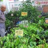 Ouverture de la Foire agricole et commerciale de la région du Sud-Est 2016