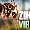 Ho Chi Minh-Ville: découverte de 17 cas de virus Zika