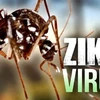 Renforcement des mesures de prévention et de lutte contre Zika