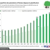 La superficie des plantations d’hévéas dépasse la planification 