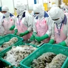 Les crevettes vietnamiennes bien appréciées au Japon, en Chine et aux Etats-Unis 