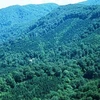 Lancement d'un projet de gestion durable des forêts