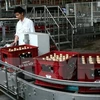 Les entreprises de bière étrangères renforcent leurs investissements au Vietnam