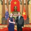 Le président vietnamien reçoit de nouveaux ambassadeurs