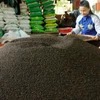 Le Vietnam table sur 1,6 milliard de dollars d’exportations de poivre en 2017