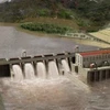 Renforcer la gestion des projets de centrales hydroélectriques au Tây Nguyên