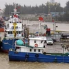  Le rétablissement des activités de pêche suite au scandale de Formosa