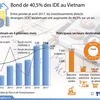 Bond de 40,5% des IDE au Vietnam