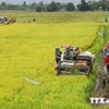 Le Vietnam conjugue les efforts pour s'adapter aux changements climatiques