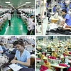 Relance du marché du travail au Vietnam