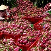 Forte hausse des exportations nationales de fruits et légumes vers le Japon