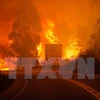 Incendies de forêt : message de sympathie au Portugal