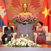 Vietnam-Cambodge: Entretien entre Nguyên Thi Kim Ngân et Samdech Heng Samrin