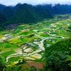 La paradisiaque vallée de Bac Son