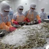 Les Etats-Unis augmentent les taxes antidumping sur les crevettes vietnamiennes