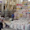 Appel d'offres du Bangladesh pour l'importation de riz