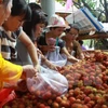 Forum Vietnam-Chine sur les fruits et légumes à Lang Son 