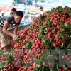 Les fruits frais en tête des exportations vietnamiennes vers le marché chinois