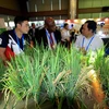 APEC 2017: Vernissage d’une exposition sur l’agriculture à Can Tho