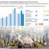 [Infographie] La production industrielle progresse de 6,7% en 8 mois