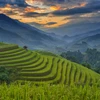 Le Vietnam parmi les 20 pays les plus beaux dans le monde