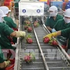 Fruits et légumes : colloque pour augmenter les exportations en UE 