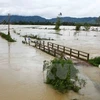 Octroi de près de 3.600 tonnes de riz à Ha Tinh et Son La