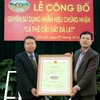 Dà Lat : Enregistrement de la marque de certification pour le café arabica du village de Câu Dât