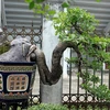 Exposition de plantes ornementales et d'oiseaux à Hanoi