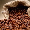 Importation de café vietnamien : l’Allemagne conserve son trône