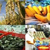 Produits agricoles, sylvicoles et aquatiques : 38 milliards de dollars d’exportation visés en 2018