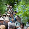 Hausse spectaculaire du nombre de touristes vietnamiens au Japon en dix ans