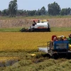 Le delta du Mékong cherche à transformer les défis agricoles en opportunités