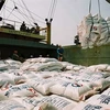 Les exportations nationales de riz atteindront 6 millions de tonnes en 2018