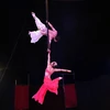 Ouverture du 1er gala international de cirque de Ho Chi Minh-Ville