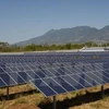 Une société allemande investit dans deux projets d'énergie solaire à Hâu Giang