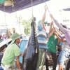 Le Vietnam agit pour répondre aux exigences en matière de lutte contre la pêche INN