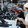 Textile : la R. de Corée aide le Vietnam à accéder à des technologies modernes