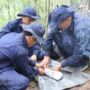An Giang trouve des restes de 116 soldats tombés au champ d'honneur