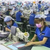 Les entreprises européennes toujours optimistes sur le climat des affaires au Vietnam