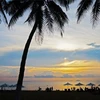 Trois élèves de Nha Trang au Festival international de la photographie au Japon